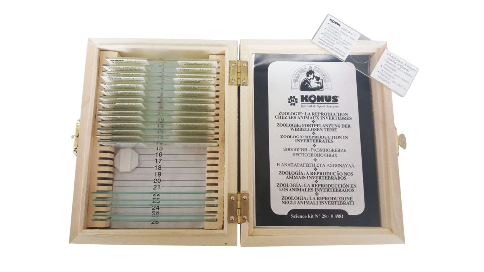 Konus Prepared Slides for Konus Kids Microscopes, Set of 15, Reproduction in Invertebrates 4981