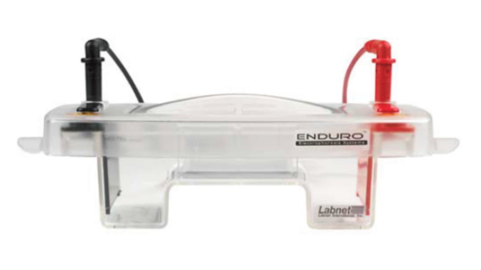 Labnet Enduro 7.10 Horizontal Gel Box 7x10cm w/2 Casting Trays E1007-BI