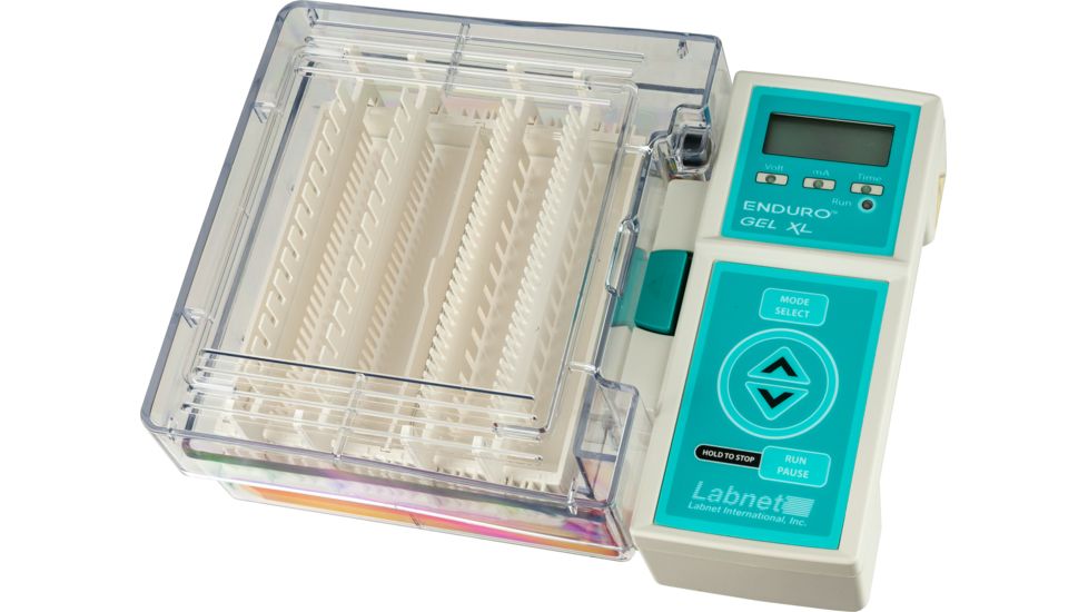 Labnet Enduro Gel XL with standard casting set (E0168), gel tank with safety lid and power supply, 120V