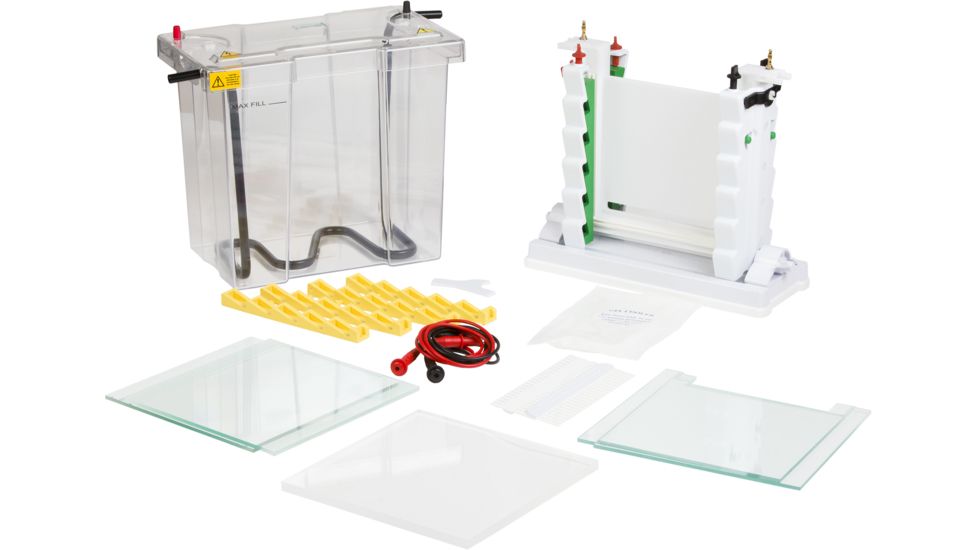 Labnet Enduro Semi Dry Blotter E2020-SDB