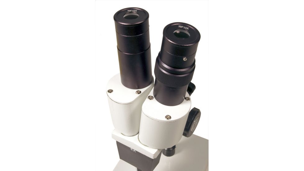 Levenhuk 2ST Microscope, White, Medium 35322