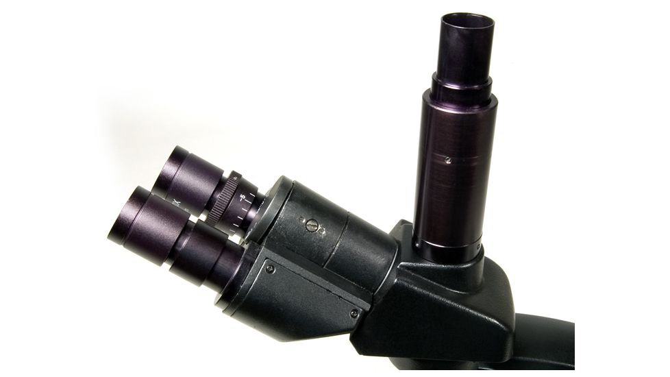 Levenhuk 670T Biological Trinocular Microscope, Black, Medium 35324