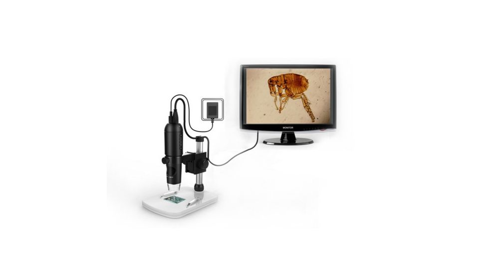 Levenhuk DTX TV Digital Microscope, Black, Small, 70422