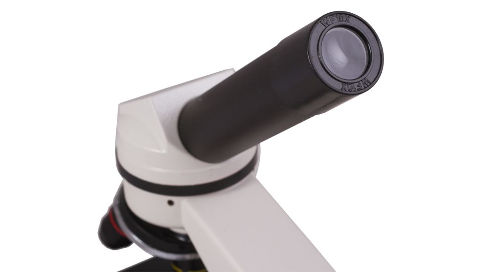 Levenhuk Rainbow D2L 0.3M Digital Microscope, Moonstone, White, Medium 69065
