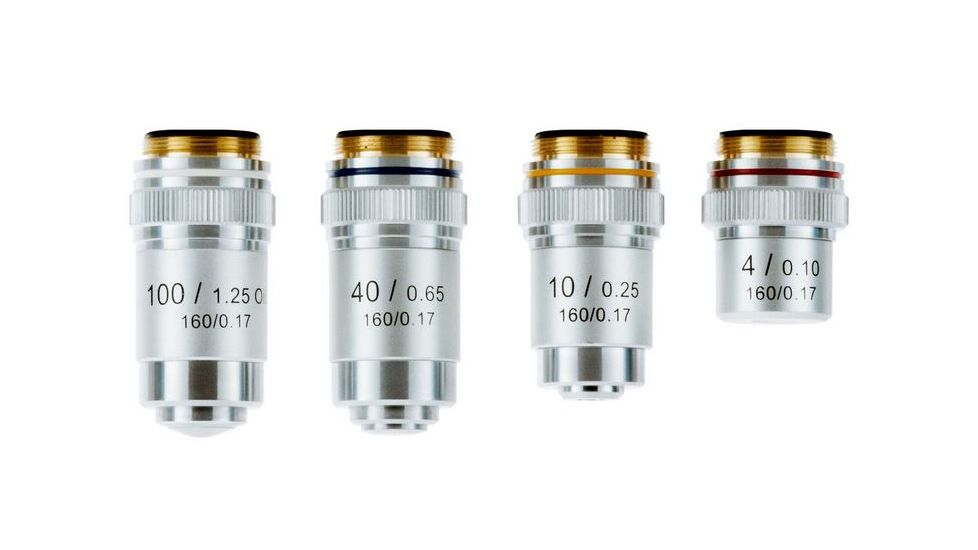 LW Scientific Advanced Student Microscope with Achromate Objectives, CREAM EDM-M04A-DALP