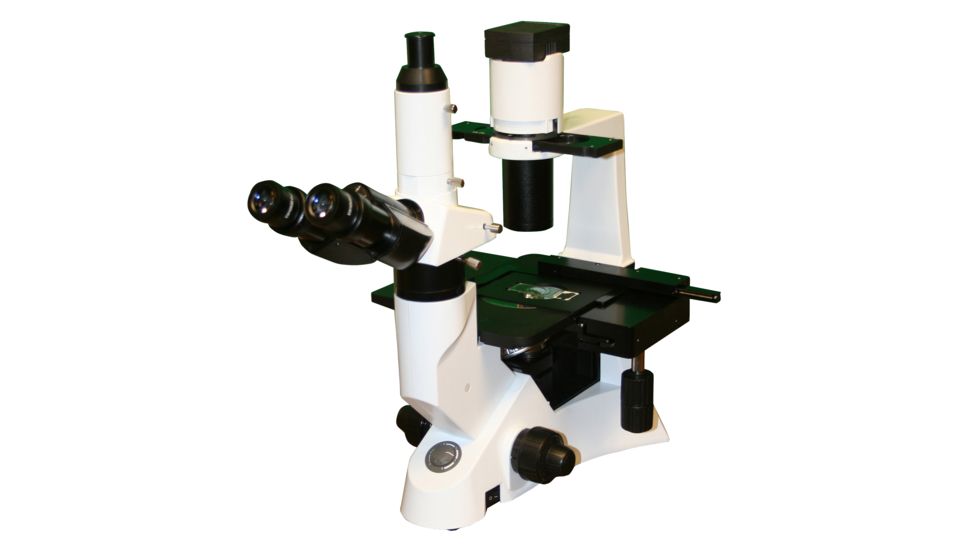 LW Scientific Inverted Microscope with Plan 4X/40X and Phase 10x/20x Objectives, CREAM L1M-T04A-DPH3