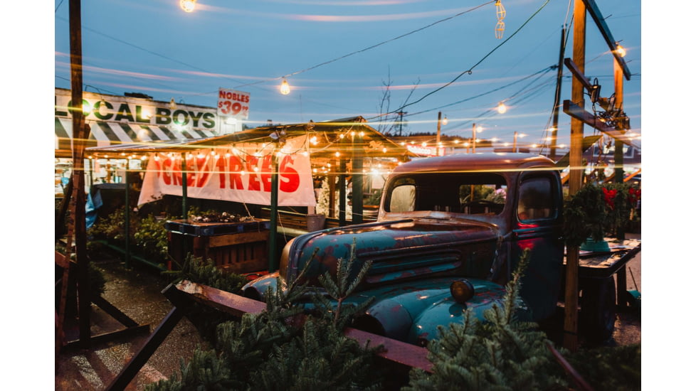 Moment 82mm CineFlare Streak Filter, Blue, 600-125