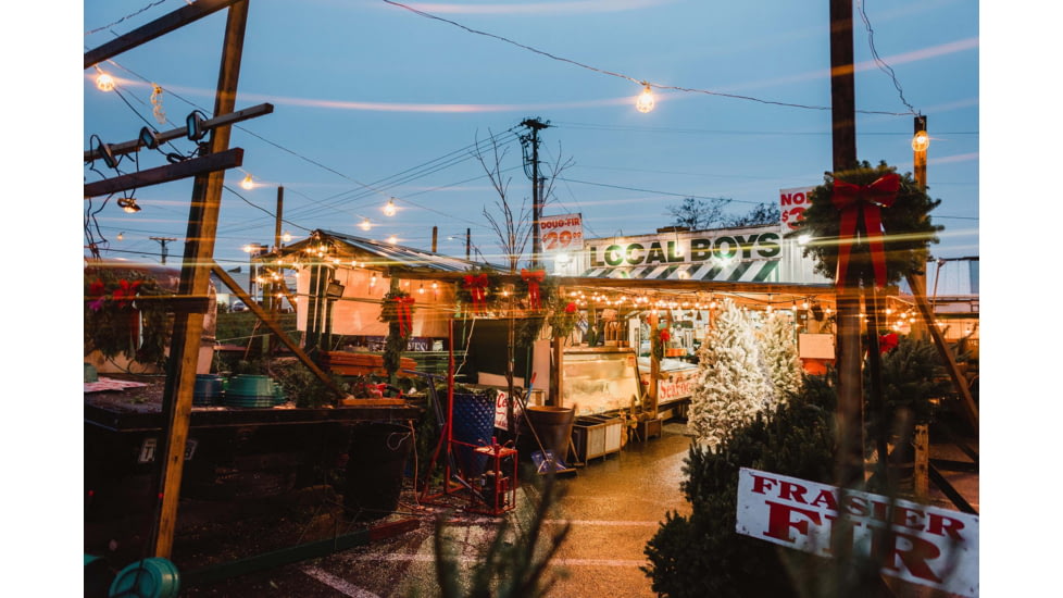 Moment 82mm CineFlare Streak Filter, Blue, 600-125