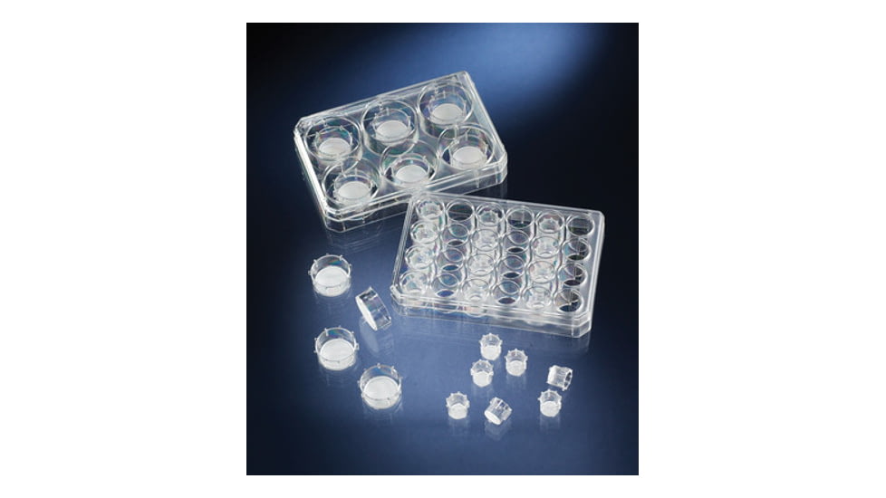 Nalge Nunc Cc Insrt 8um Pc In Md 6 Cs24 140668, Unit CS