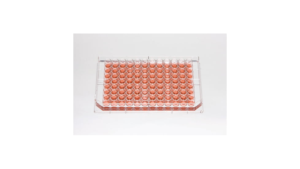 Nalge Nunc Plate 96well 400ul Cs160 267312, Unit CS