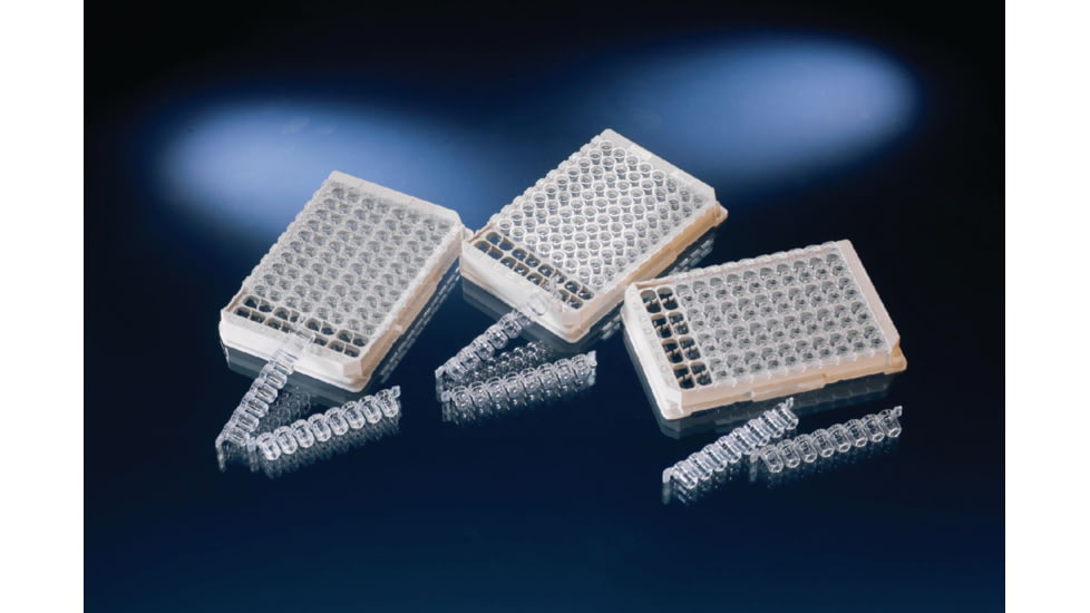 Nalge Nunc Plate C8 Lockwellmod MXSRPCS60 446469 Plate C8 Lockwellmod MXSRPCS60