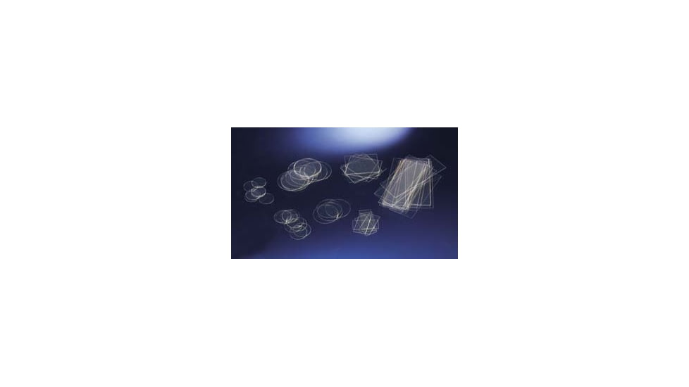 Nunc Coverslip 22MM Thermanox CS500 174977