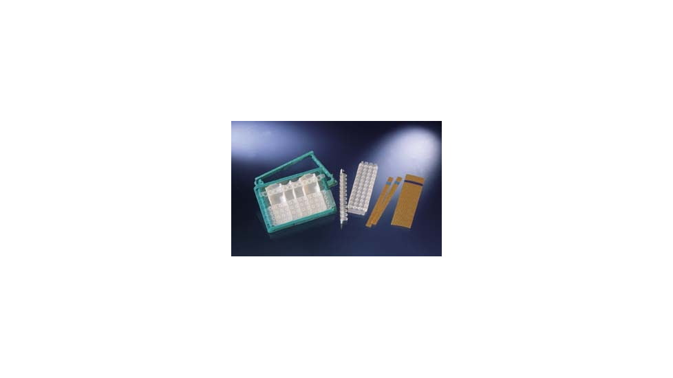 Nunc Tape 12 Ps W/ADHESIVE PK100 232689