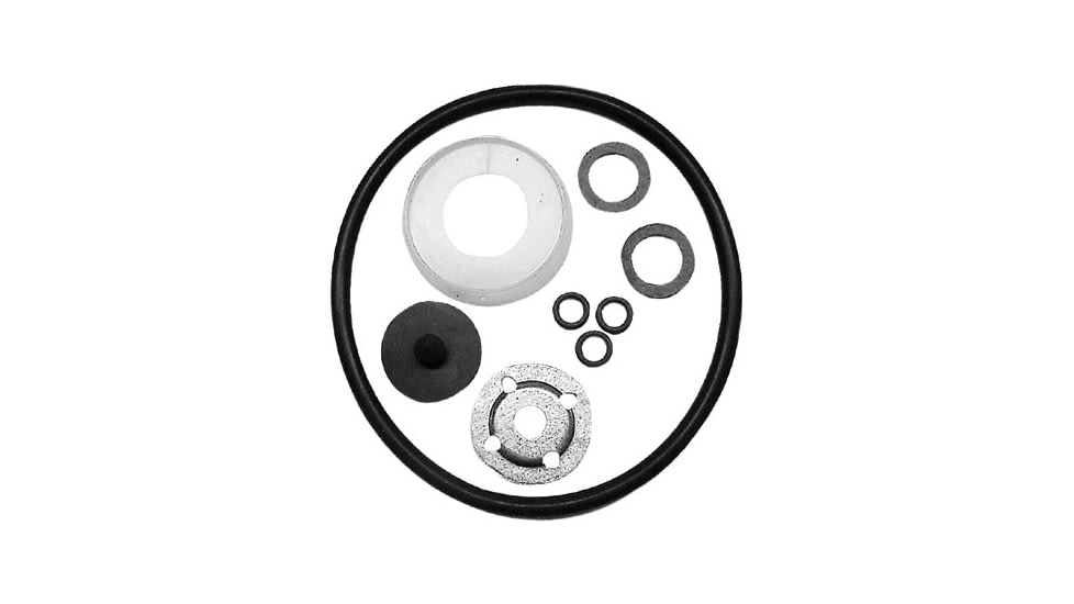 Chapin Repair Kit With Viton Seals 139-6-1945, Unit PK