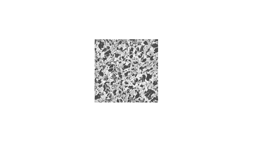 Pall Filter FP200 .2U 13MM PK100 66475