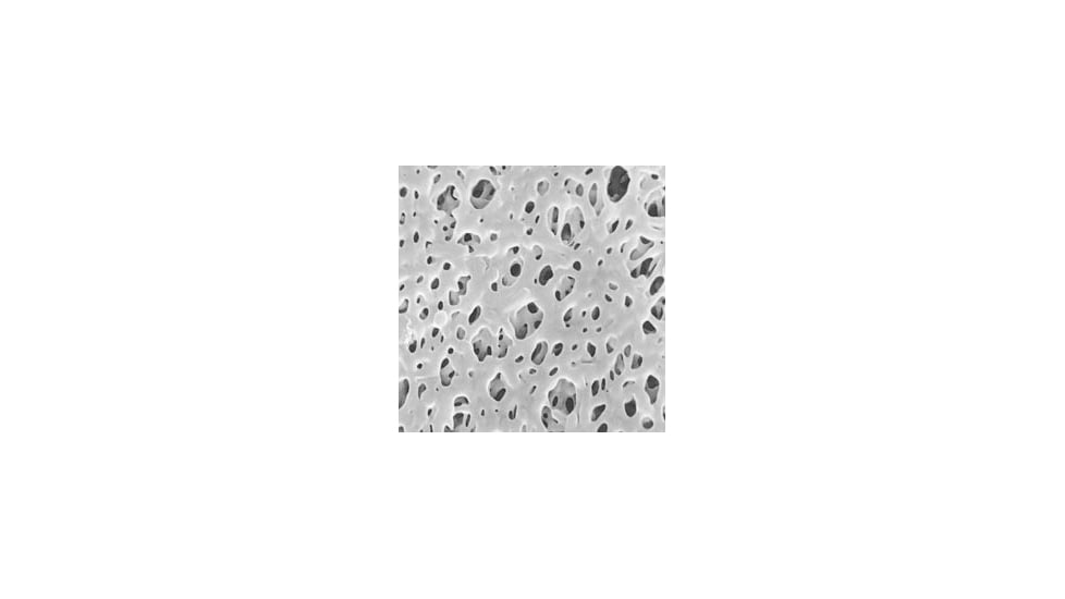 Pall Filter Membr Tuffryn 47MM 66223