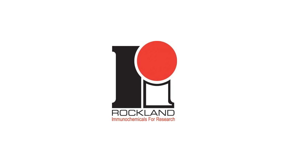 Rockland Immunochemicals Alkln Phosphtse Cnjg Protein A PA00-05