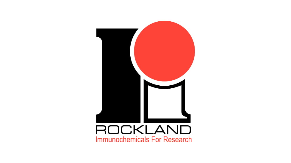 Rockland Immunochemicals Irdye800cw Anti-sheep Igg 613-431-002, Unit EA
