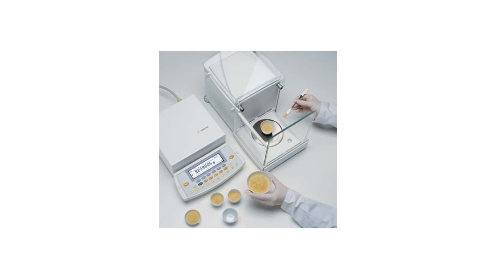 Sartorius Microbalance 31G X 1.0UG ME36S