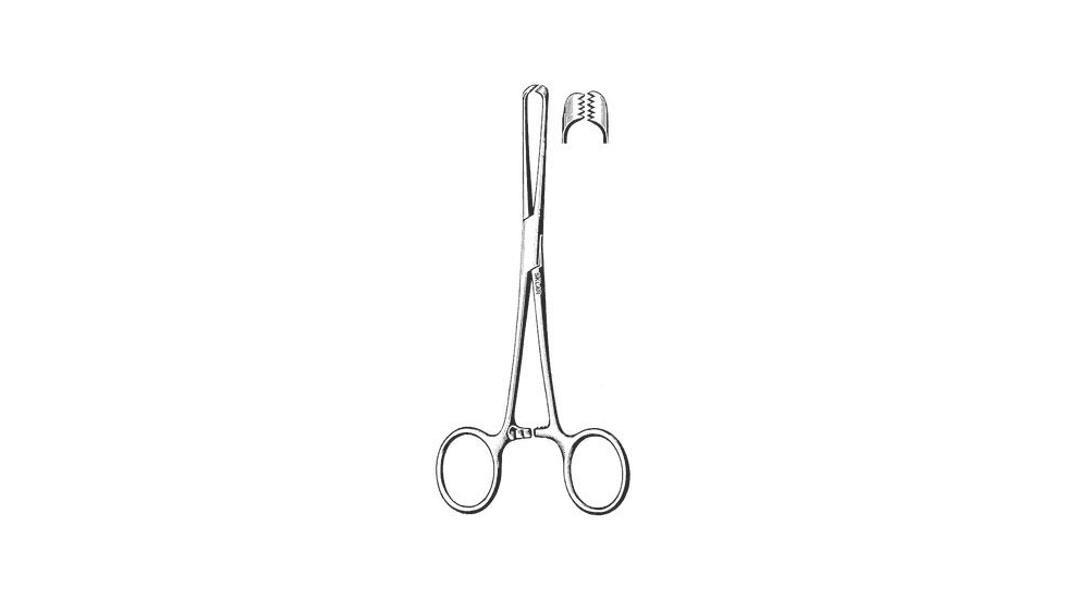 Sklar Forcep Allis Tissue 5X6 7.5IN 95-938