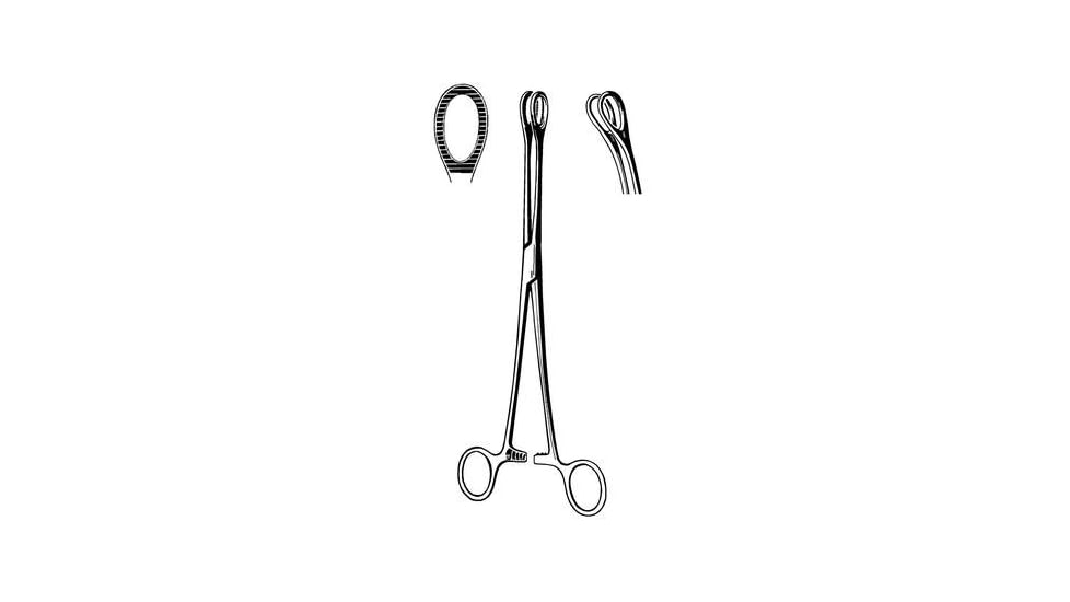 Sklar Sponge Forcep Foerster Str 7IN 95-571