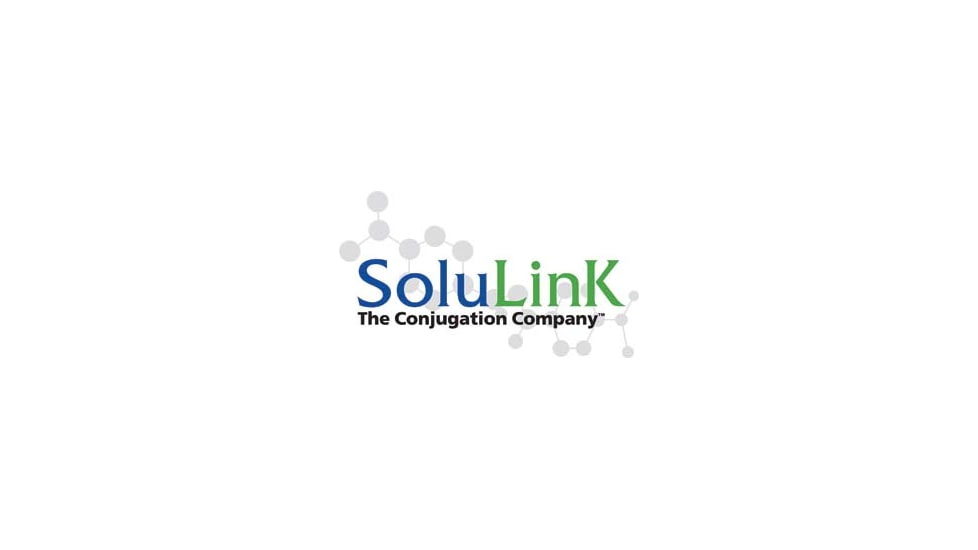 Solulink Chromalink Kit V 2BX Flsh Dr B-9007-105K