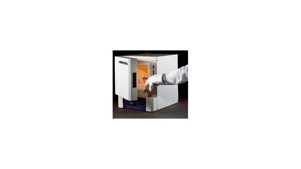 Thermo Fisher Scientific Lindberg/Blue M Furnaces100 C, Each, Thermo Fisher Scientific Scientific Furnaces With Micro Single Setpoint Controller, BF51766A