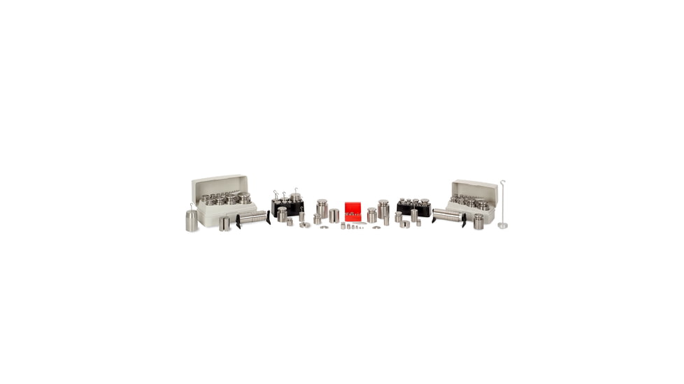 Troemner Henry Weight Alum Eco 100gx1mg Cl 7 311-01S, Unit EA