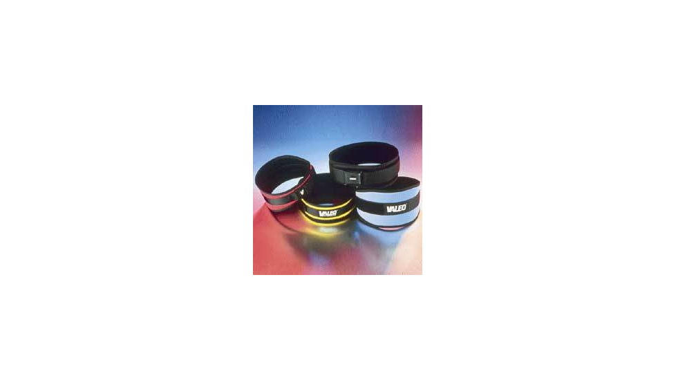 Valeo Belt Back Support 4IN Blackmed VA4677ME