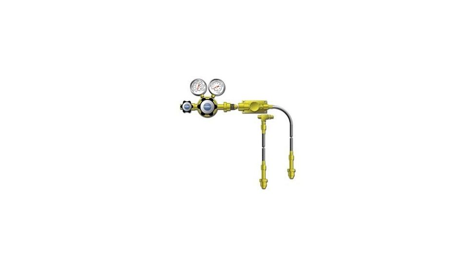 VWR Cylinder Manifolds for High-Purity Noncorrosive and Corrosive Gases 4702645 Brass Protocol Stations For Two Cylinders