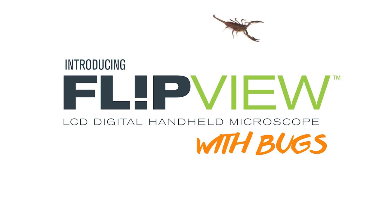 opplanet celestron the bug chicks review the flipview handheld microscope video